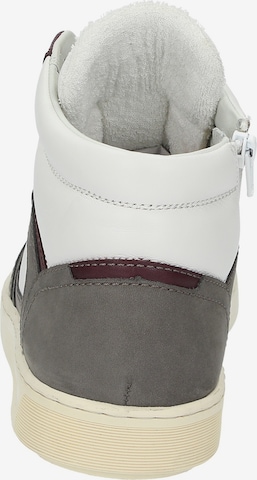 SIOUX Sneaker ' Tedroso-705 ' in Grau