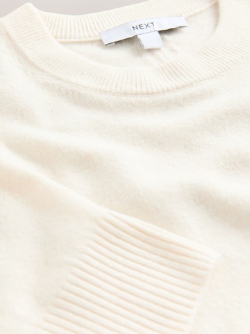 Next Sweater in Beige