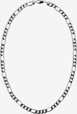 NAEMI - Cadena en plata: frente