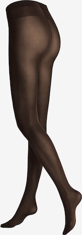 Hudson Strumpfhose 'Micro' in Braun: Vorderseite