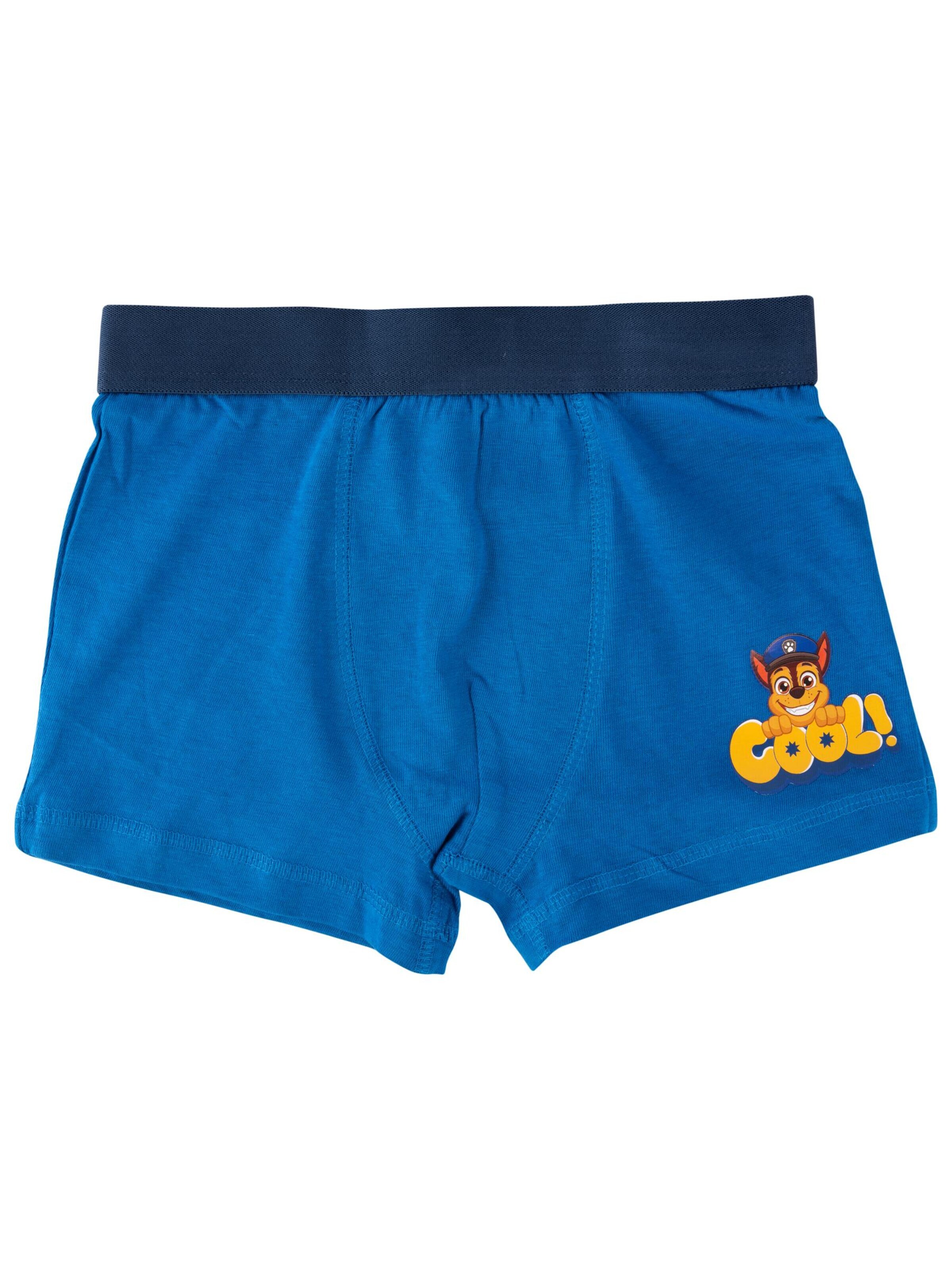 Paw Patrol Underpants in Blue