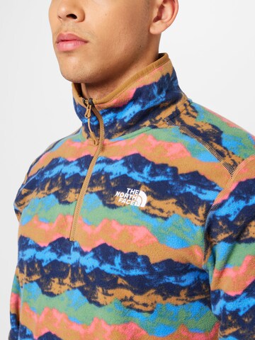 THE NORTH FACE - Pullover desportivo 'GLACIER' em castanho