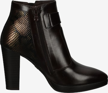 Bottines Nero Giardini en marron