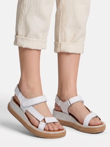 Maciejka Sandalen met riem in Wit