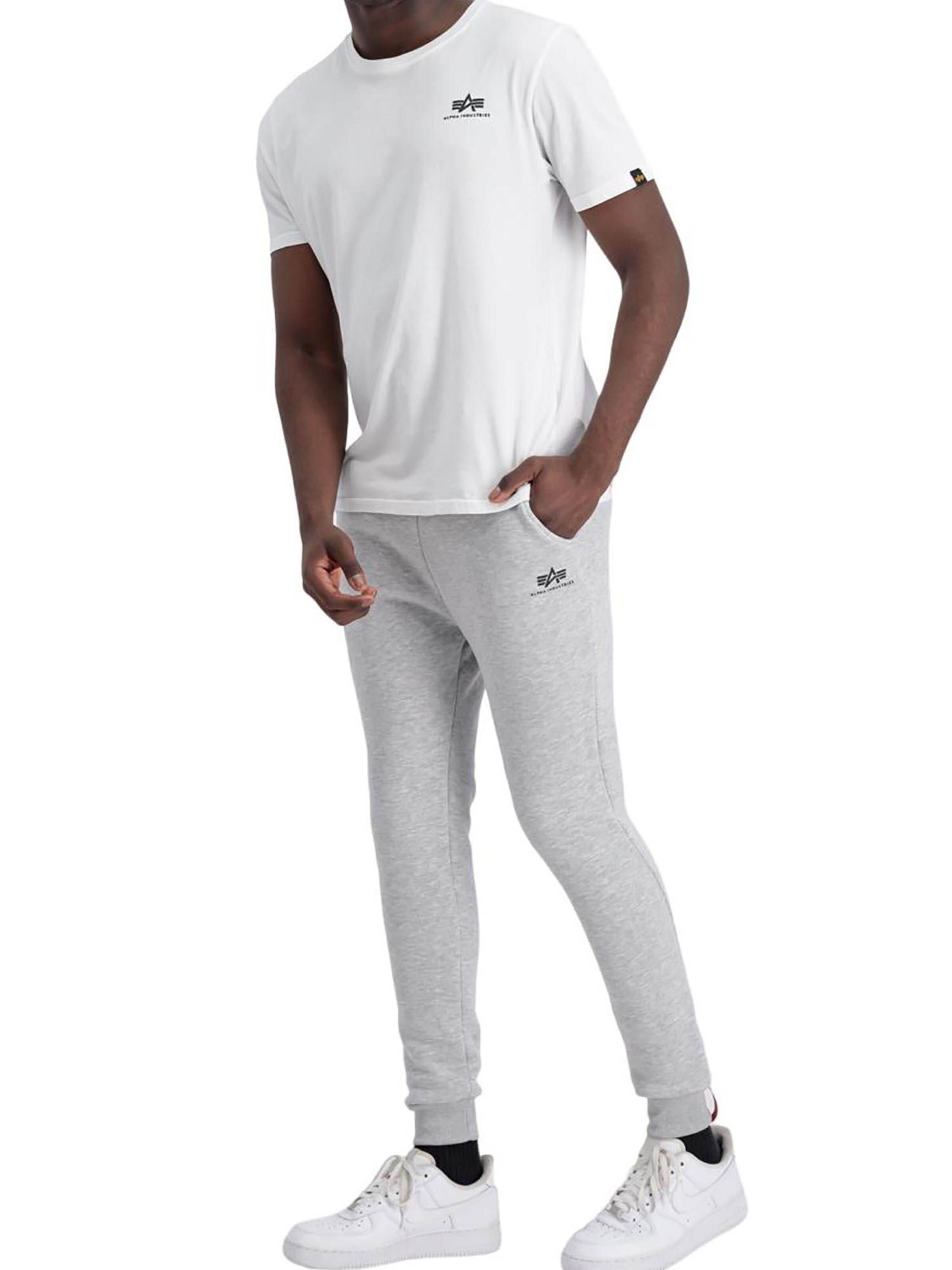 ALPHA INDUSTRIES Regular Pants 'Basic' in Grey