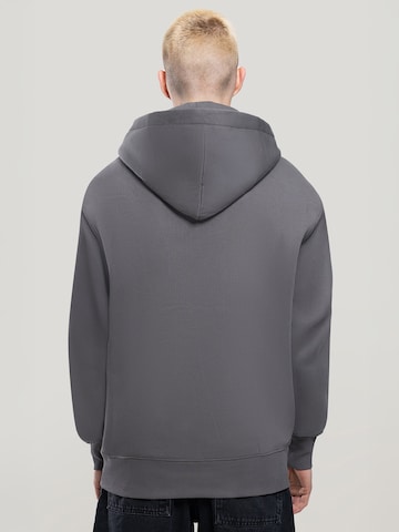 MAD TIGERS Sweatshirt 'Black Tigers' in Grey