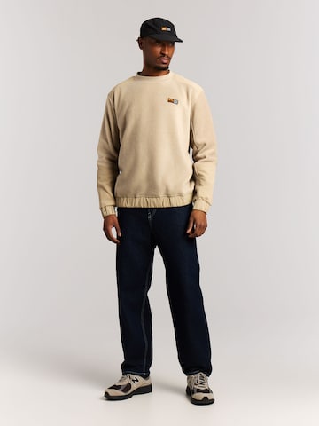 PROTEST Pullover 'PRTKeenan'‌‌‌‌‌‌‌‌‌ in Braun