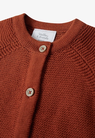 Stellou & Friends Knit cardigan in Brown