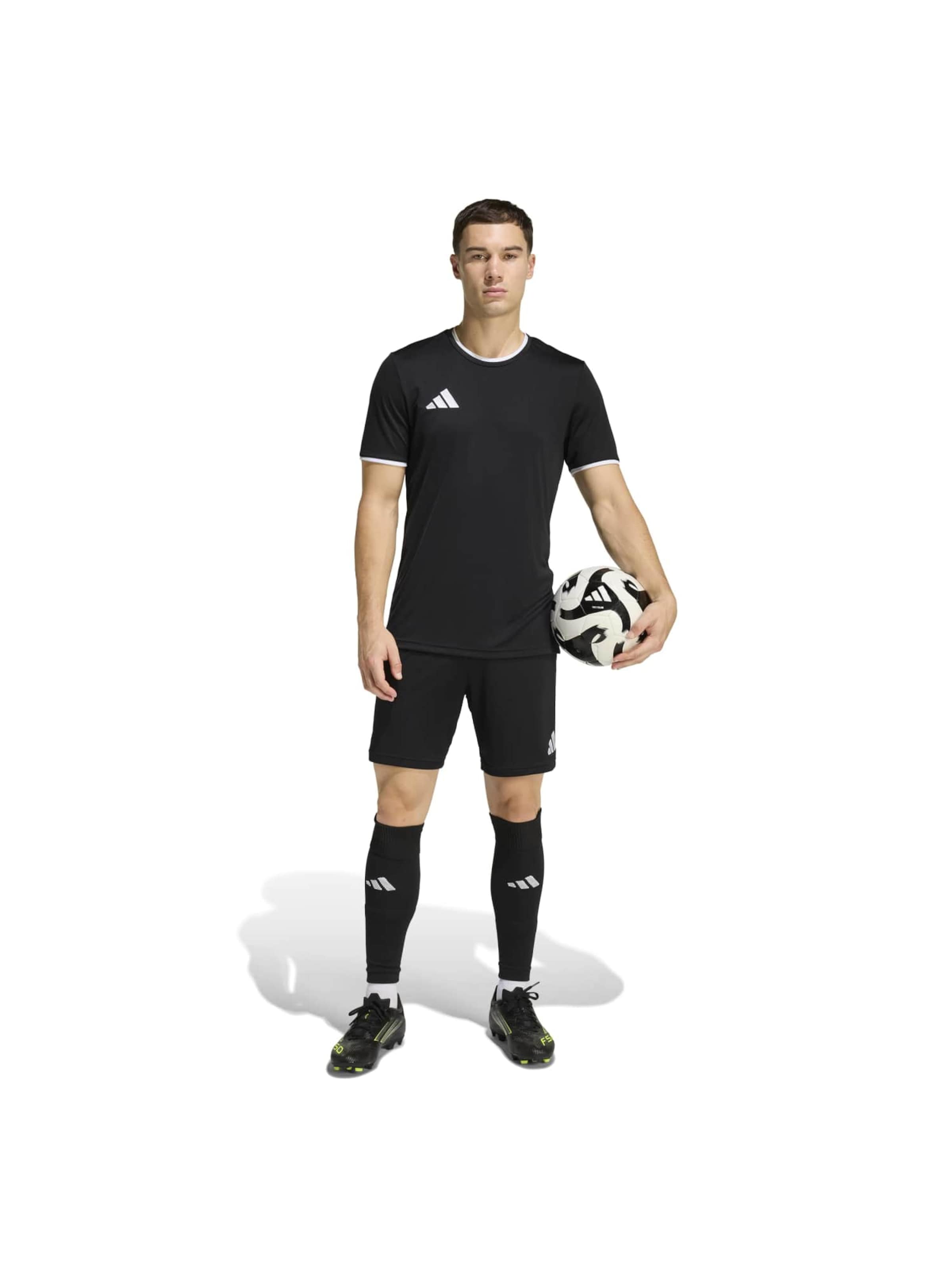 juoda ADIDAS PERFORMANCE Standartinis Sportinės kelnės 'ENT26'