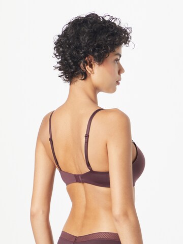 Calvin Klein Underwear T-shirt Bra in Purple