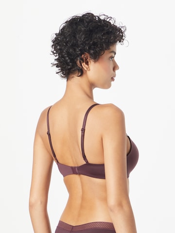 Calvin Klein Underwear T-shirt Bra in Purple