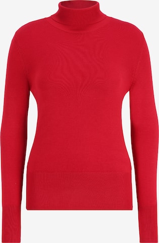 Betty Barclay Basic-Strickpullover mit Kragen in Rot: predná strana