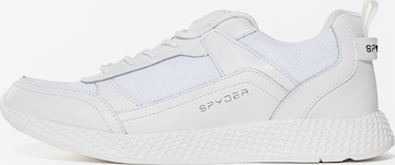 Sneaker bassa di Spyder in bianco: frontale
