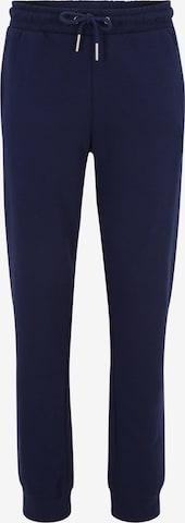 Effilé Pantalon 'BRAIVES' FILA en bleu : devant
