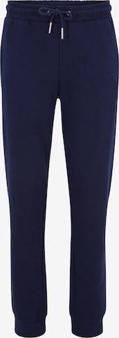 FILA Tapered Hose  'BRAIVES' in Blau: predná strana