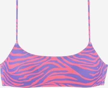 Top per bikini di VENICE BEACH in lilla: frontale