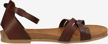 COSMOS COMFORT Strap Sandals in Brown