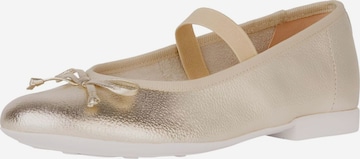 Ballerina di GEOX in oro: frontale