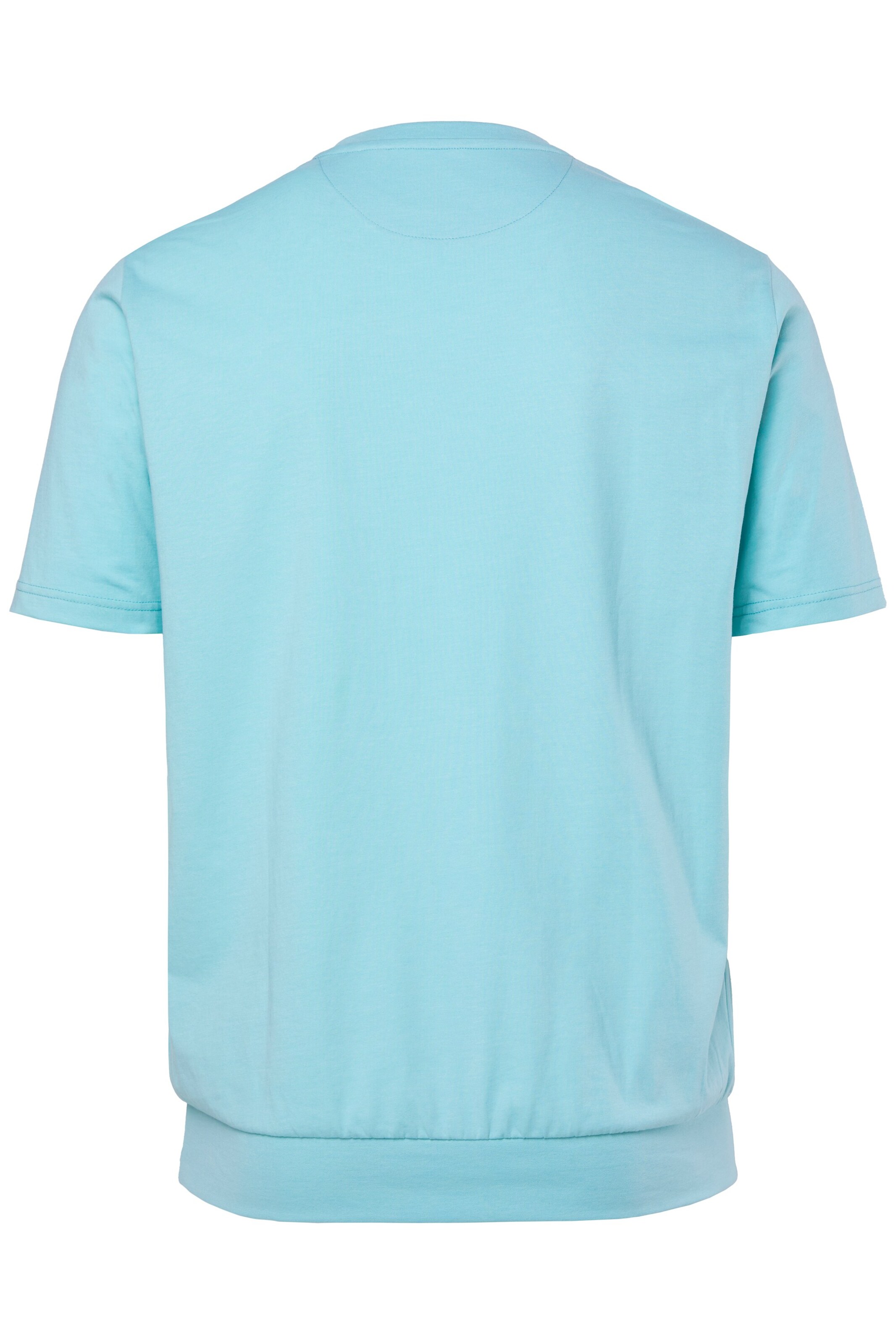 Men Plus Shirt in Blue