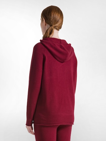 Felpa di DEHA in rosso