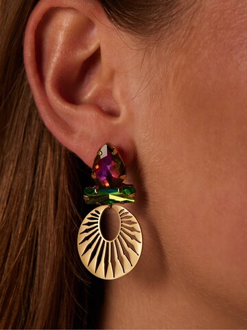 Boucles d'oreilles Lucardi en or : devant