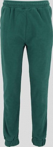 Pantaloni 'Just Rhyse' di Just Rhyse in verde: frontale