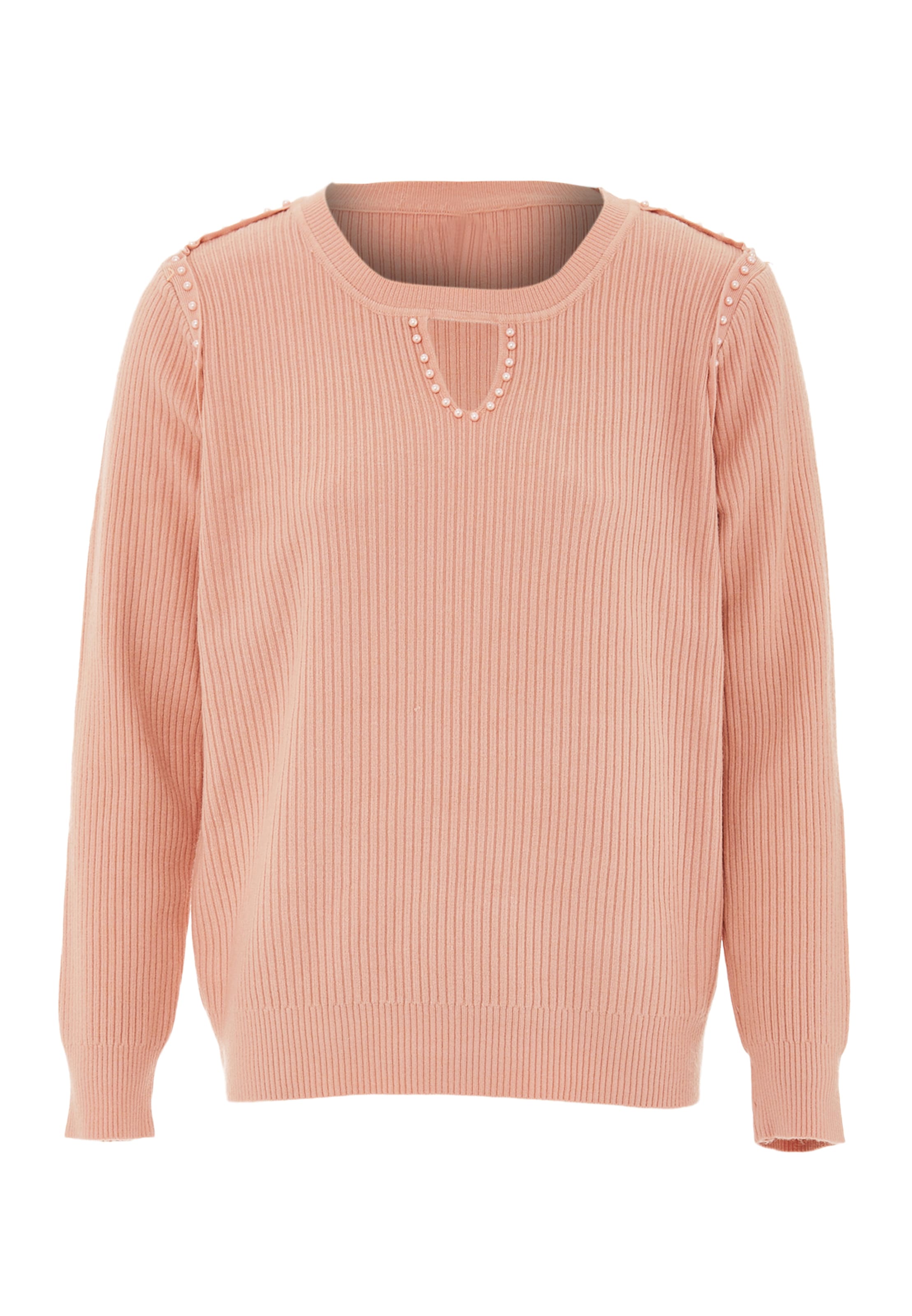 LEOMIA Sweater in Pink: front
