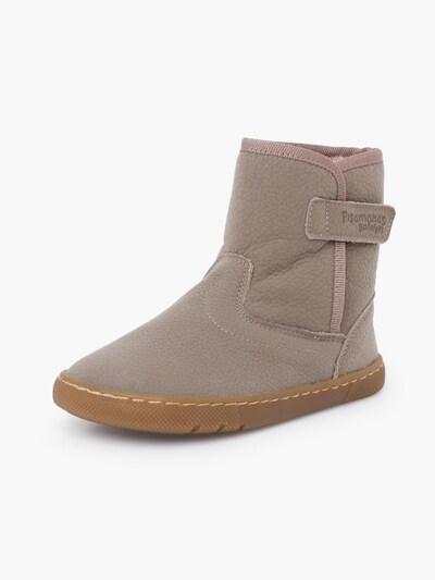 Pisamonas Stiefel in taupe, Produktansicht