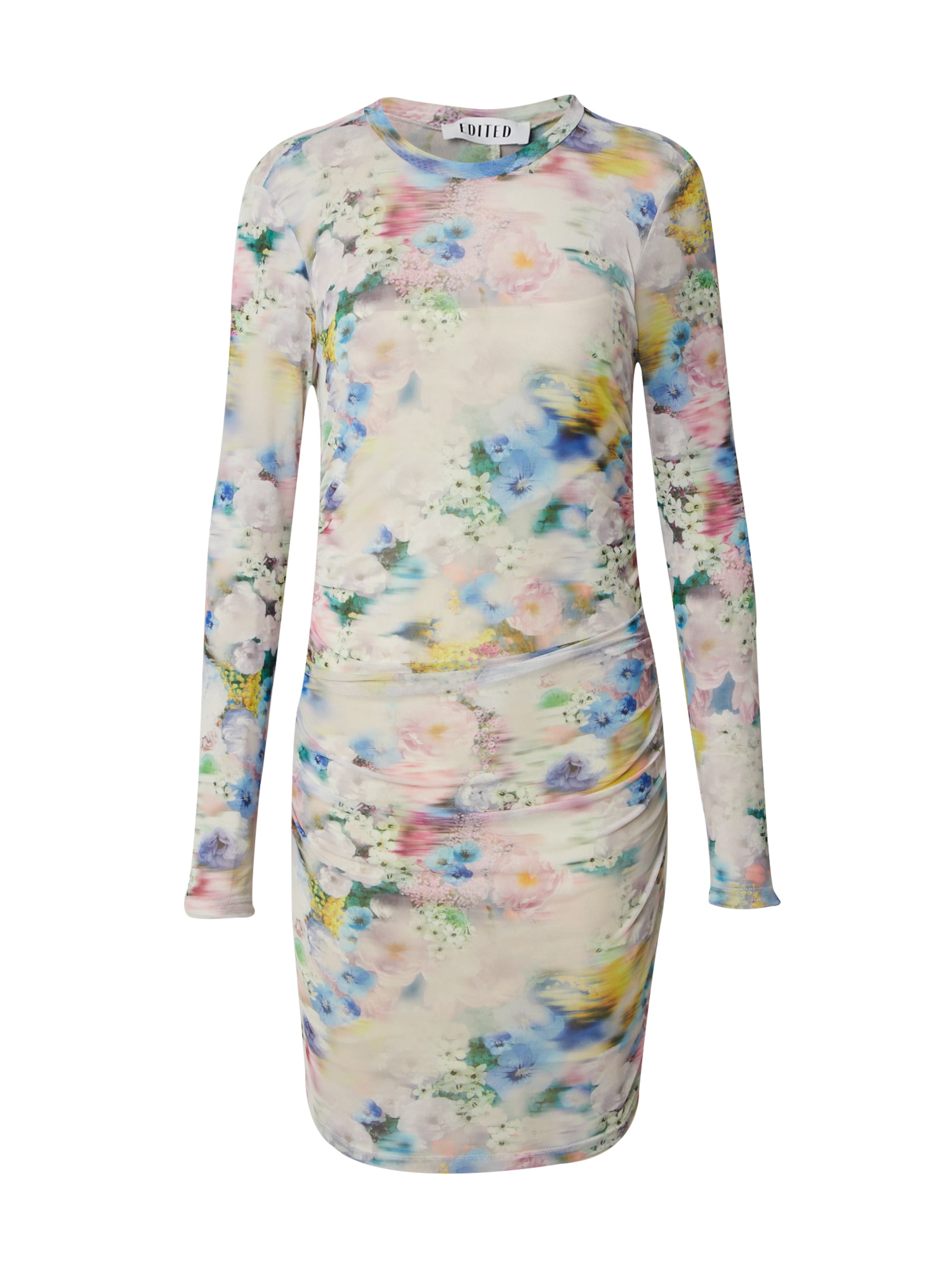 EDITED Kleita 'Bettina', krāsa - jauktu krāsu, Preces skats