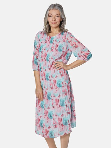 Goldner Dress in Pink: front