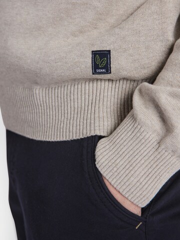 Signal Pullover 'Vice' in Beige