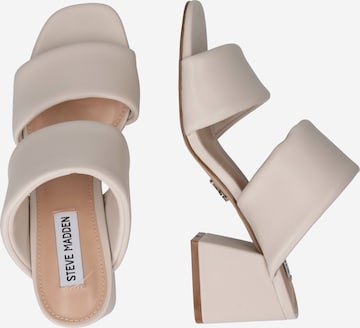 STEVE MADDEN Pantolette 'Delani' in Beige