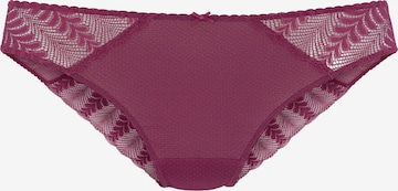 LASCANA Panty in Purple: front