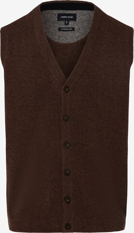 Andrew James Sweater Vest in Brown: front