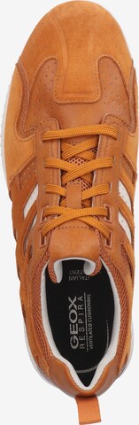 GEOX Sneakers in Brown