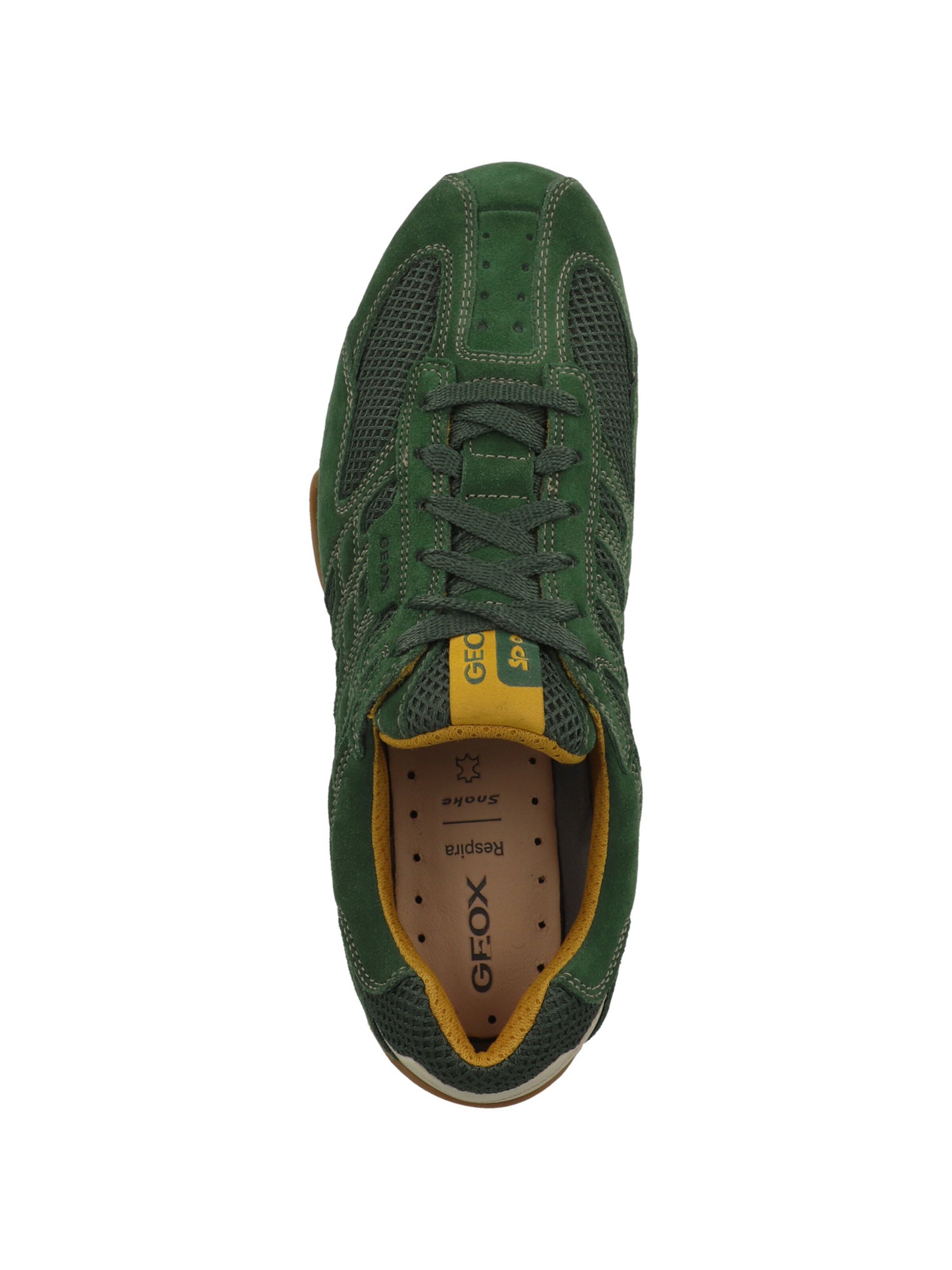 Baskets basses 'Snake Original' GEOX en vert