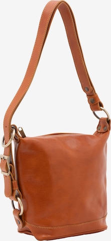 Viola Castellani Pouch in Brown: front