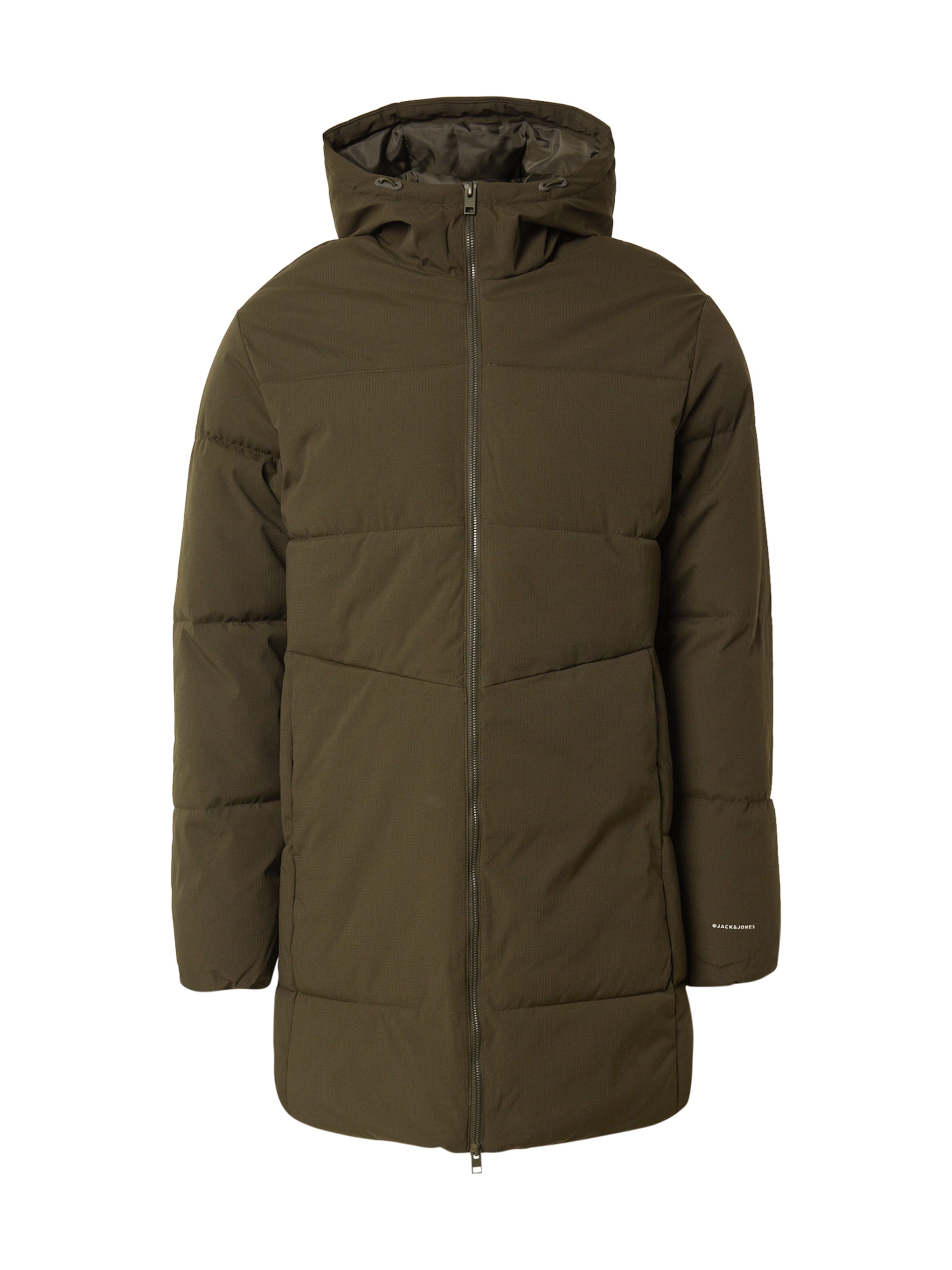 Geacă de iarnă 'JWHBRADY' de la JACK & JONES pe verde: față