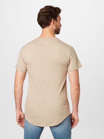 T-Shirt HOLLISTER en marron