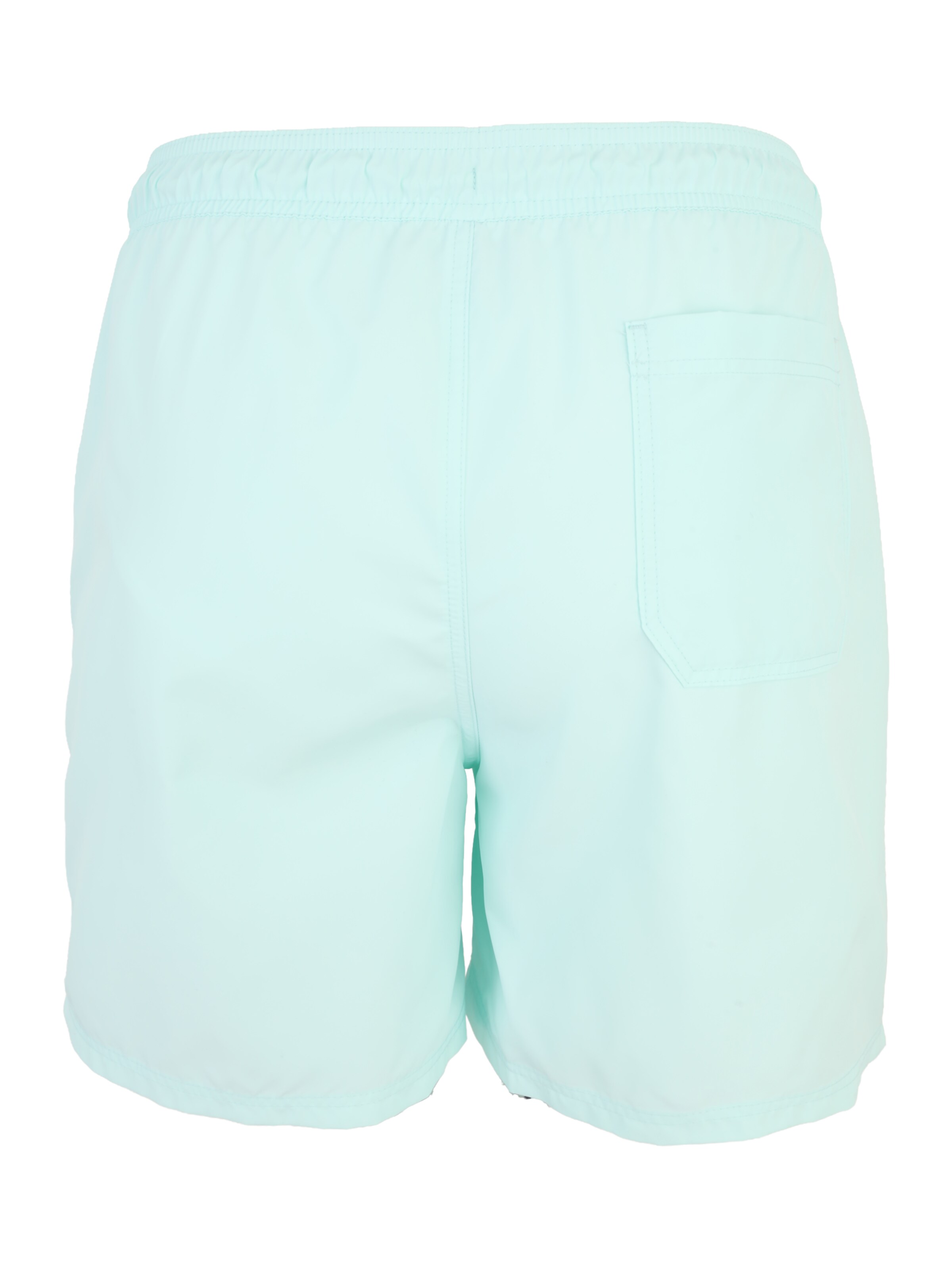 Calvin Klein Swimwear Uimashortsit 'DRAWSTRING' värissä vihreä