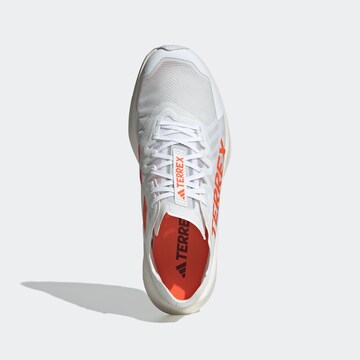ADIDAS TERREX Laufschuh 'Agravic Speed' in Weiß