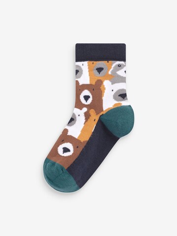 Next Socken in Braun