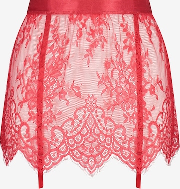 Hunkemöller Garter Belt in Red: front