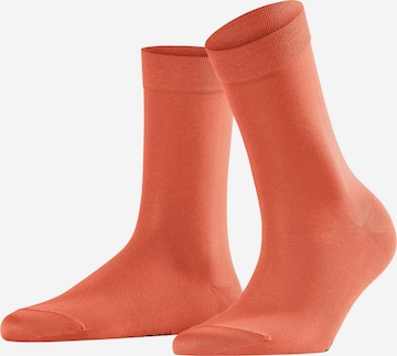 Chaussettes FALKE en orange : devant