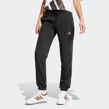 ADIDAS SPORTSWEAR Regular Sporthose in Schwarz: Vorderseite