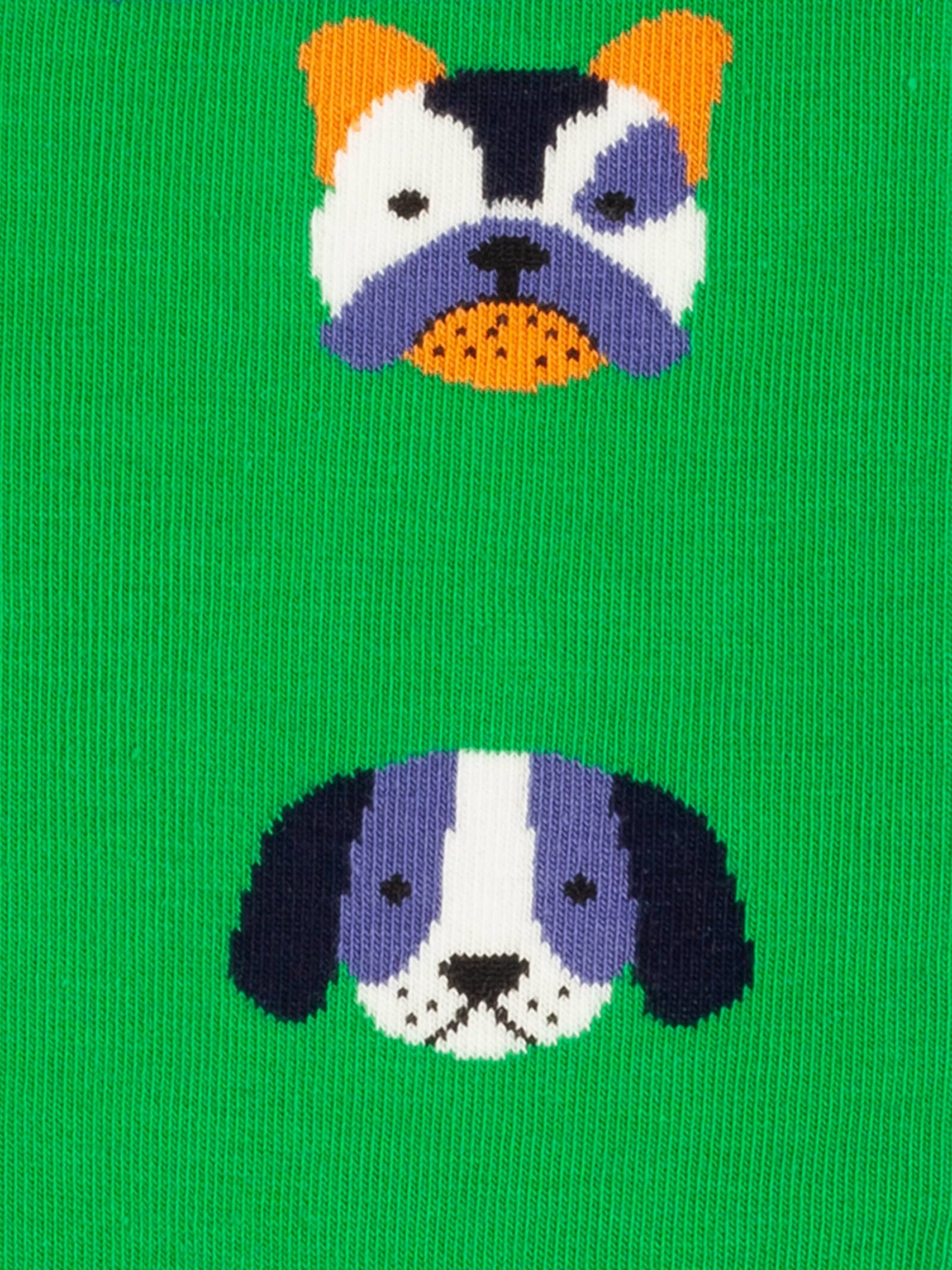 DillySocks Socken 'Geschenkbox - Paws & Friends (3er Box)' in Mischfarben