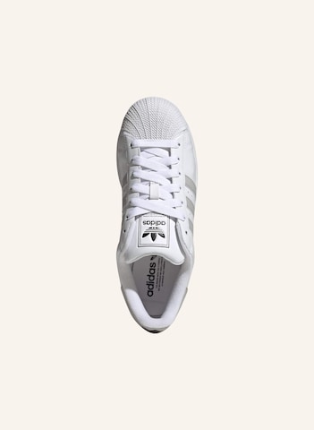 Sneaker bassa 'Superstar II' di ADIDAS ORIGINALS in bianco