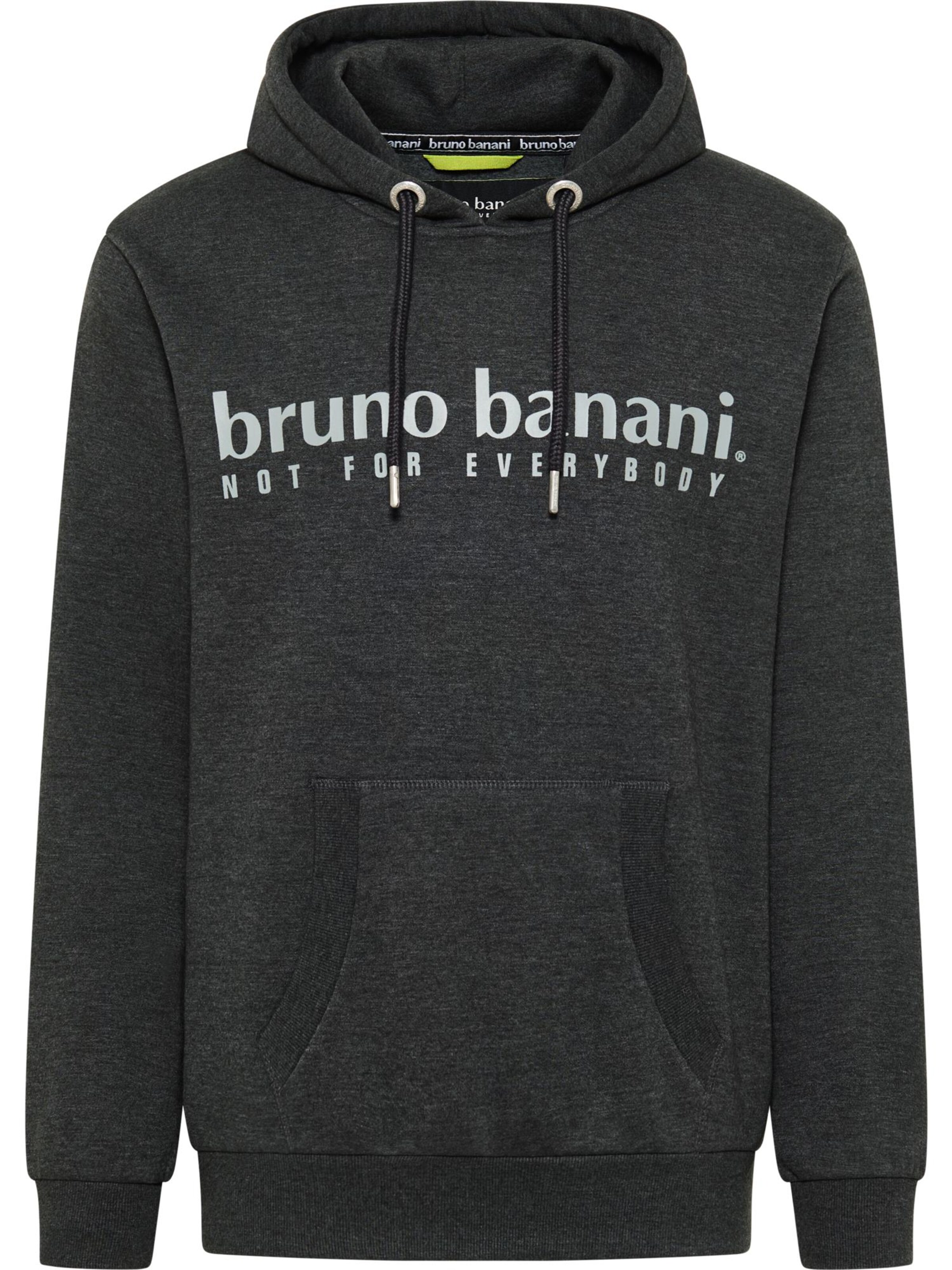 Bruno Banani Sweatshirt 'CARVER' in Grey: front