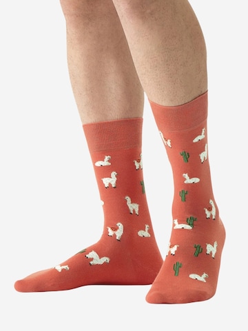 Von Jungfeld Socks 'Lama Icon' in Red: front