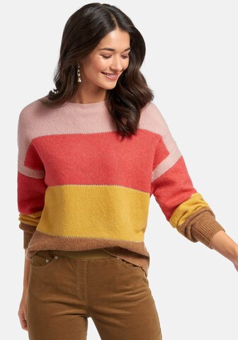 Peter Hahn Sweater in Mixed colors: front